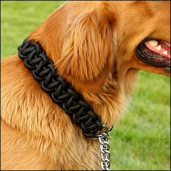 Black Braided Dog Collar with Martingale Chain