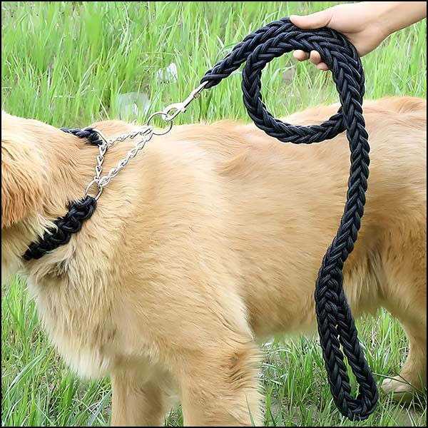 Black Braided Rope Dog Leash with Metal Snap Hook