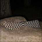 Black Reflective Utility Rope